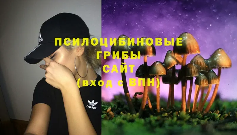 Галлюциногенные грибы Magic Shrooms  Верхний Тагил 